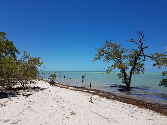 Punta Cocos